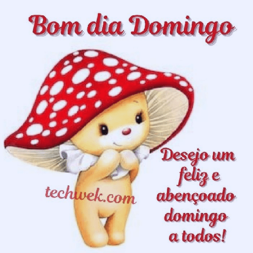 Feliz domingo 12