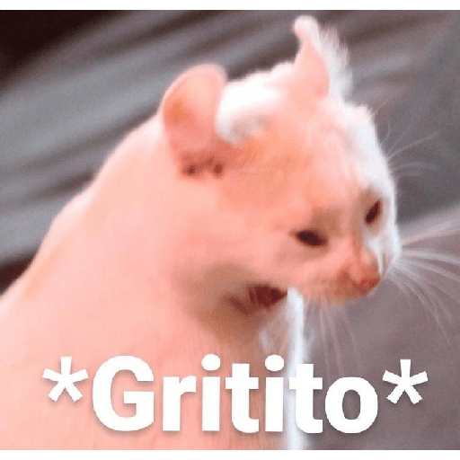 ᕬ >_< ᕬ 19