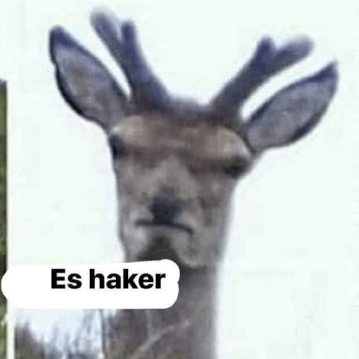 Es hacker  1