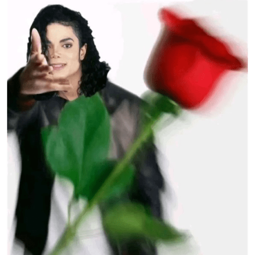 Michael Jackson memes 14