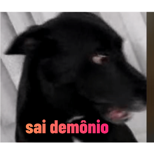 Família top 8
