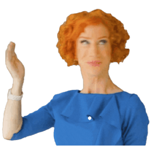 Kathy  Griffin 3