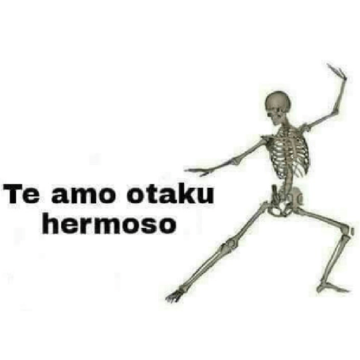 Jeje 4