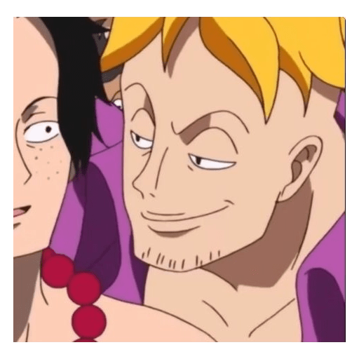 Marco 15