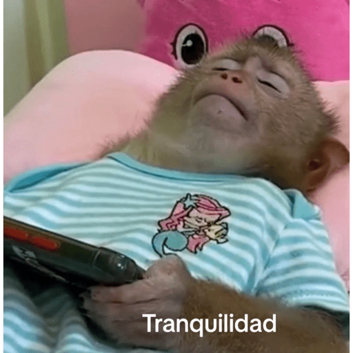 Monkyemociones 3