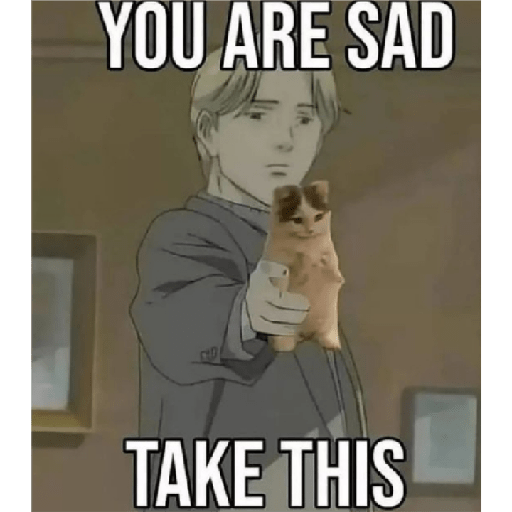 Cat 3