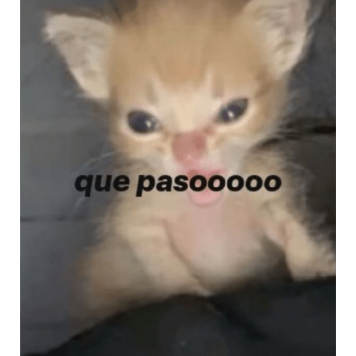 Random sin contexto  24