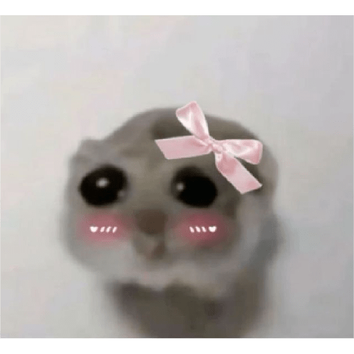 ᕬ >_< ᕬ 15