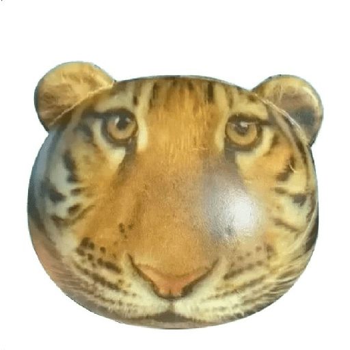 Tigre 12