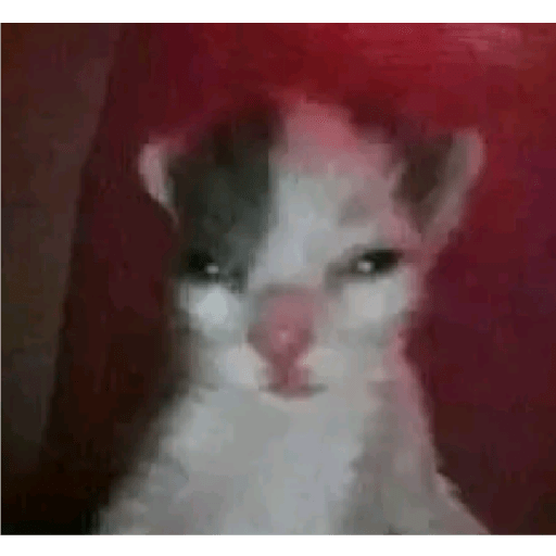 Sei lá kkk 26