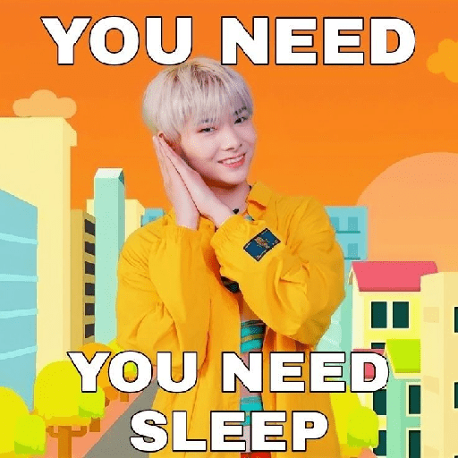 🐣 *.ﾟzZz ⭒Ṉı-kı ⭒⊹ . 13