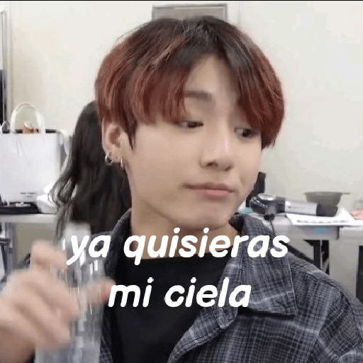 ._.meme._.bts._. 6
