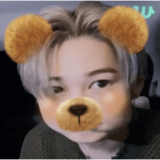 🐣 *.ﾟzZz ⭒Ṉı-kı ⭒⊹ . 20