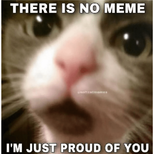 Cat 1