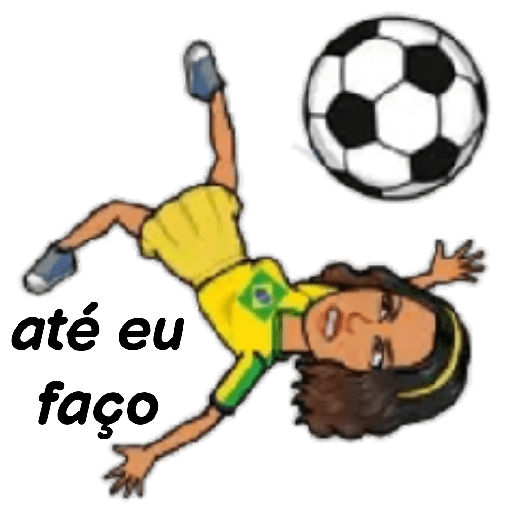 Copa do Mundo @roselainn  5
