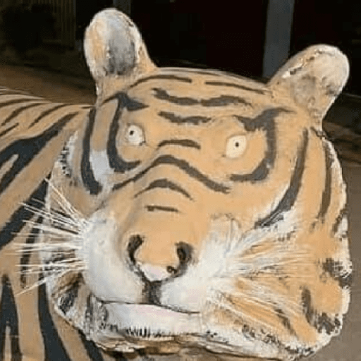 Tigre 14