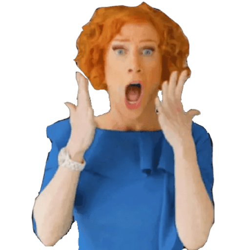 Kathy  Griffin 6