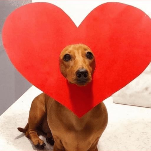Dia dos namorados | amor ❤️ 8