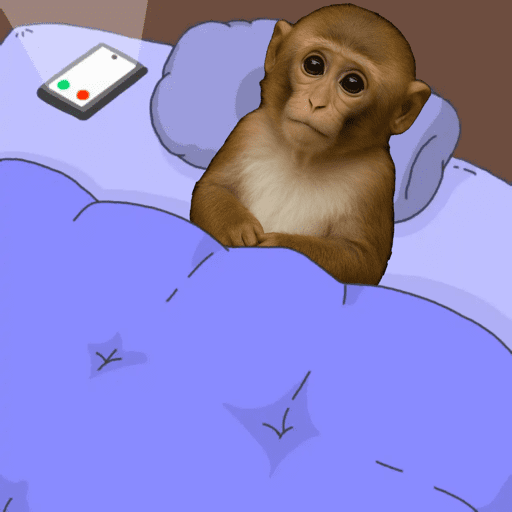 Monkey 7