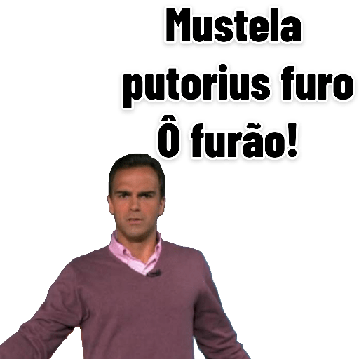 Futebol globo 18