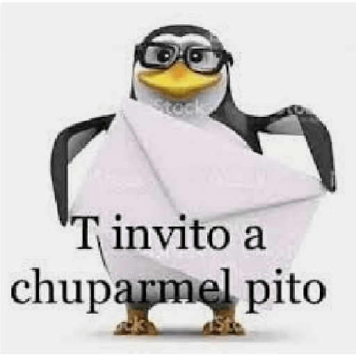 Por favor 24