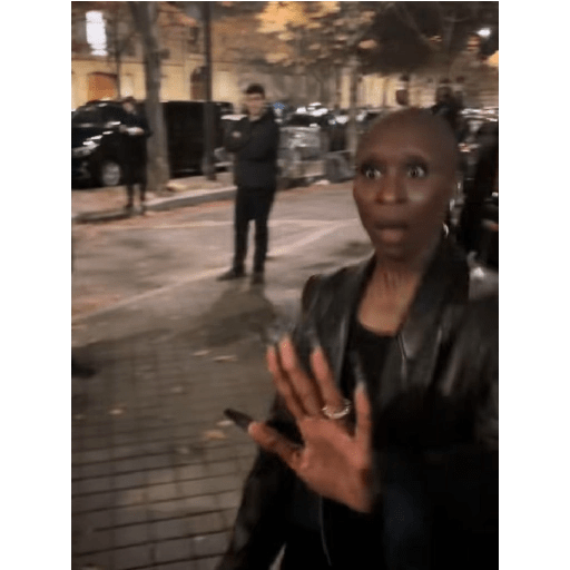 Meme tiktok 12