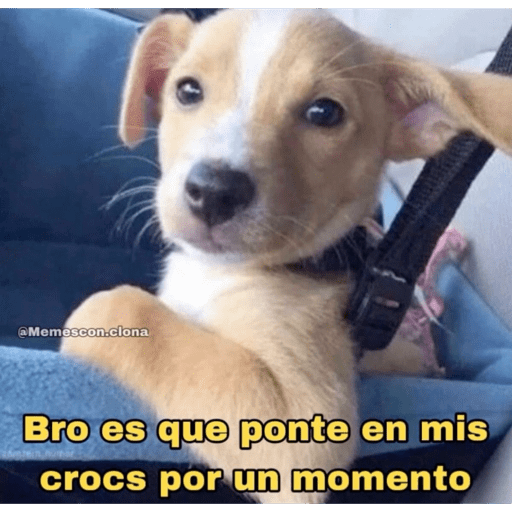 TKM 21