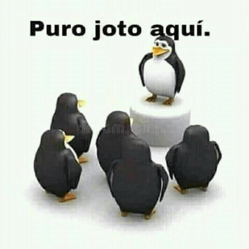 TKM 15