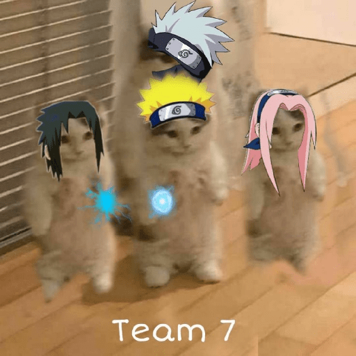 Anime cosplay cat 25