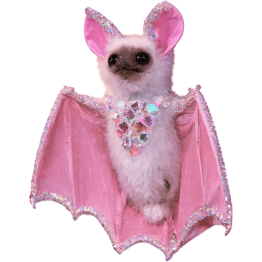 Animais 1