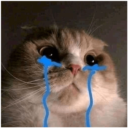 Gatti tristi e cute 7