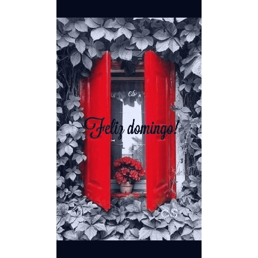 Feliz domingo 4