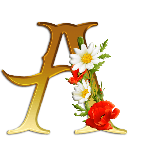 Flores e jardim 26