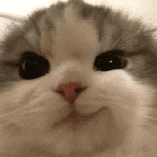 ᕬ >_< ᕬ 22