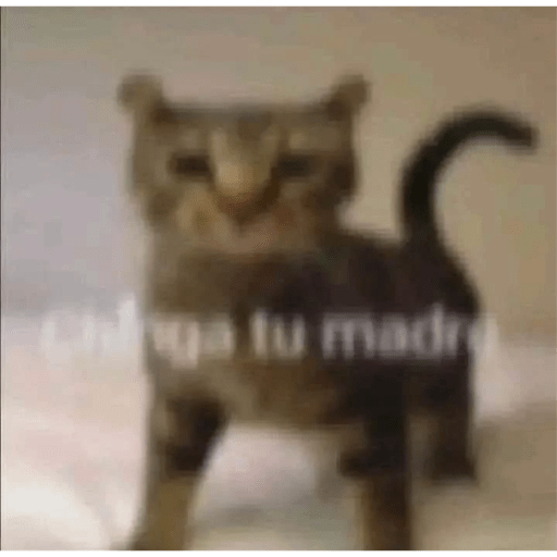Gatitos y perritos :3 21