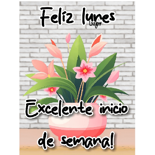Feliz inicio de semana 🌸 15