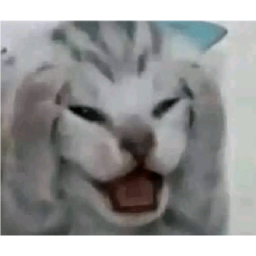 Sei lá kkk 24