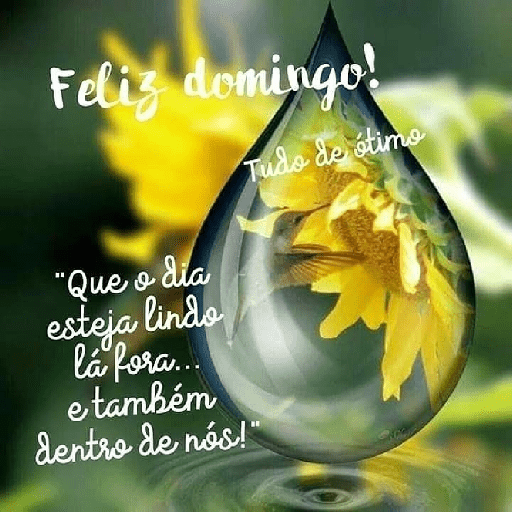 Feliz domingo 8