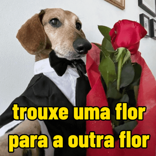Dia dos namorados | amor ❤️ 1