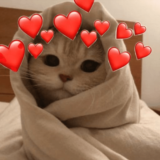 Gatos de amor  8