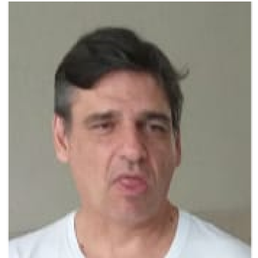 Família top 11