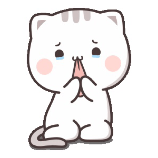 Cutie cat chan 16