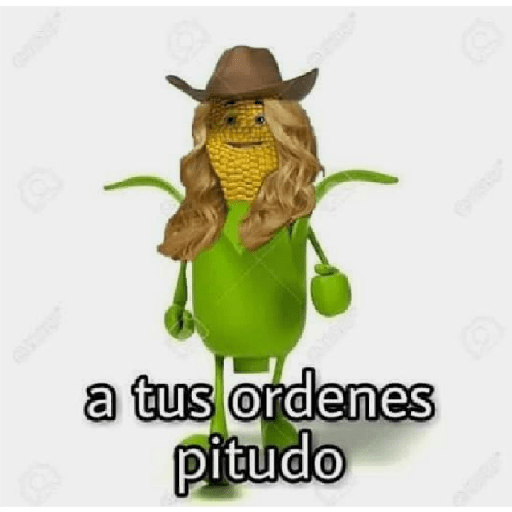 Por favor 20