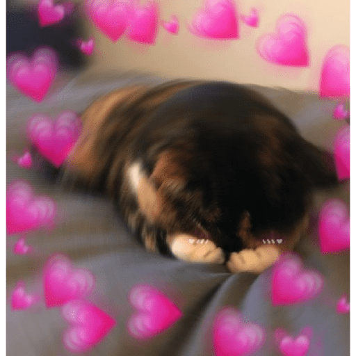 Gatos de amor  9