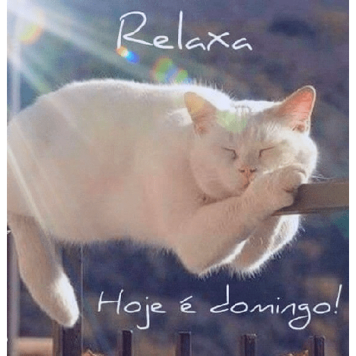 Feliz domingo 3