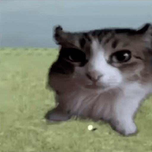 Gatitos y perritos :3 19