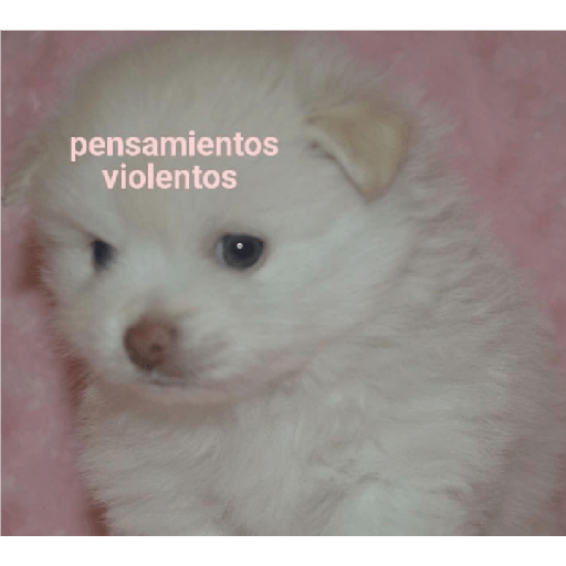 Perritos 4 14