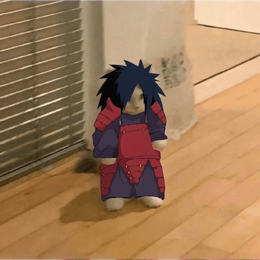 Anime cosplay cat 23