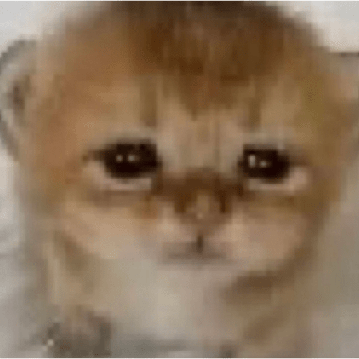 Gatitos y perritos :3 23