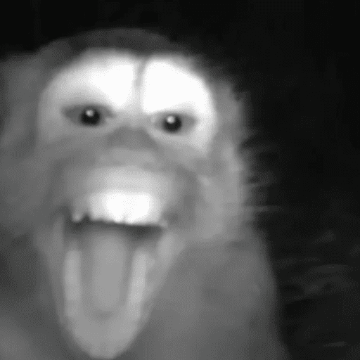 AAAAAAAA BIXOS BIXOZUS 1